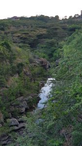 Images of a lush, green gorge with water reflecting the sky