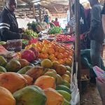 A market stall with lots of colourful fruit, including oranges, melons and avocados