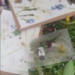 Hapa zome - transforming flower and leaf to art