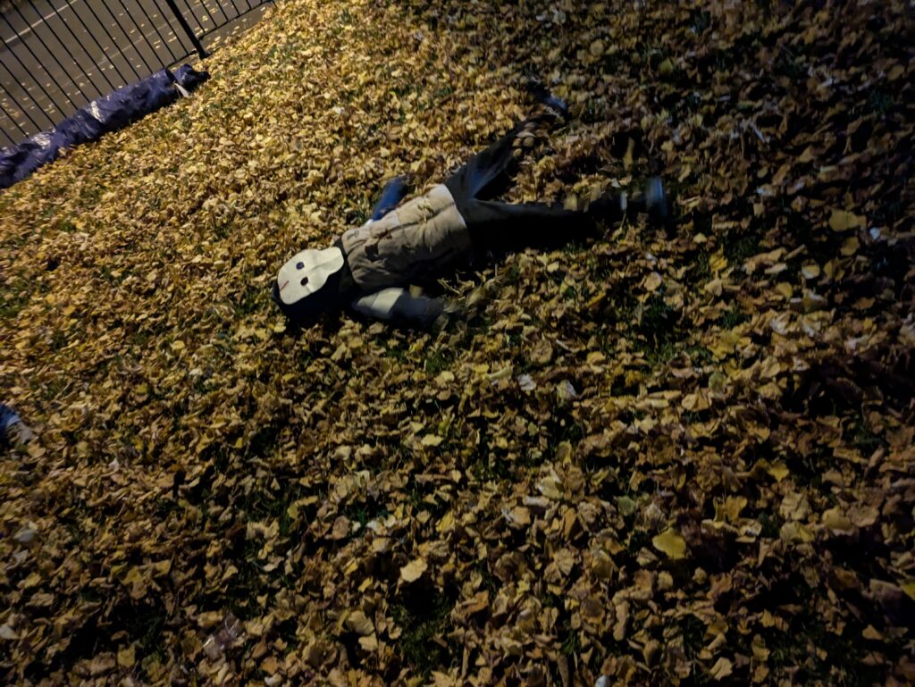 Leaf angel