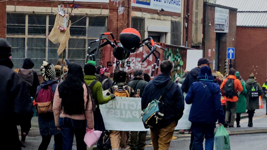 Giant Ladybird spider at the Carnival